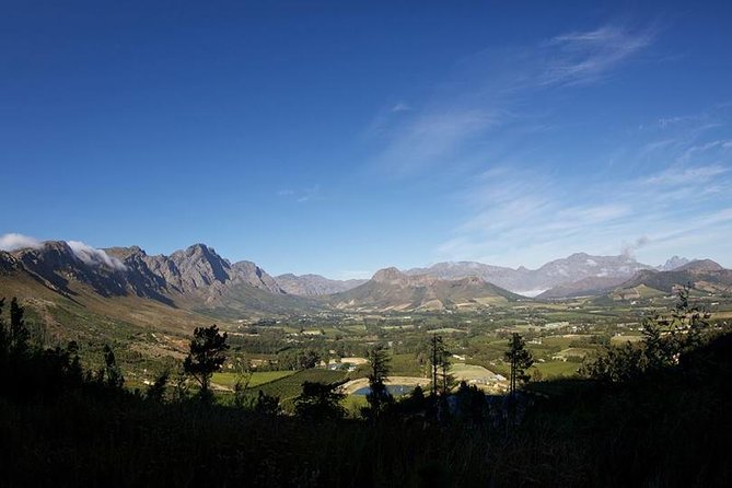 Private Wine Tour with Wine Expert to Stellenbosch-Franschhoek Wine Regions - Is $206.99 per person a fair price?