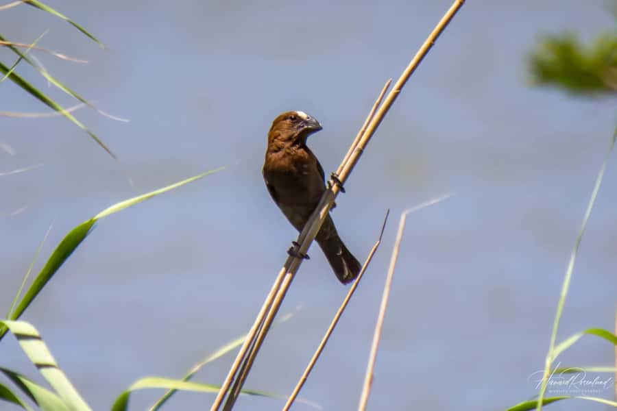 Richards Bay: Isimangaliso Boat Cruise St Lucia Estuary Tour - Two hours on the St Lucia Estuary