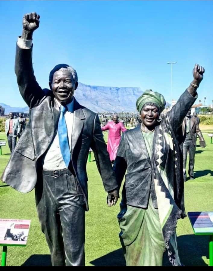 Robben Island Museum Tour with Transfer and Ferry Tickets. - FAQ