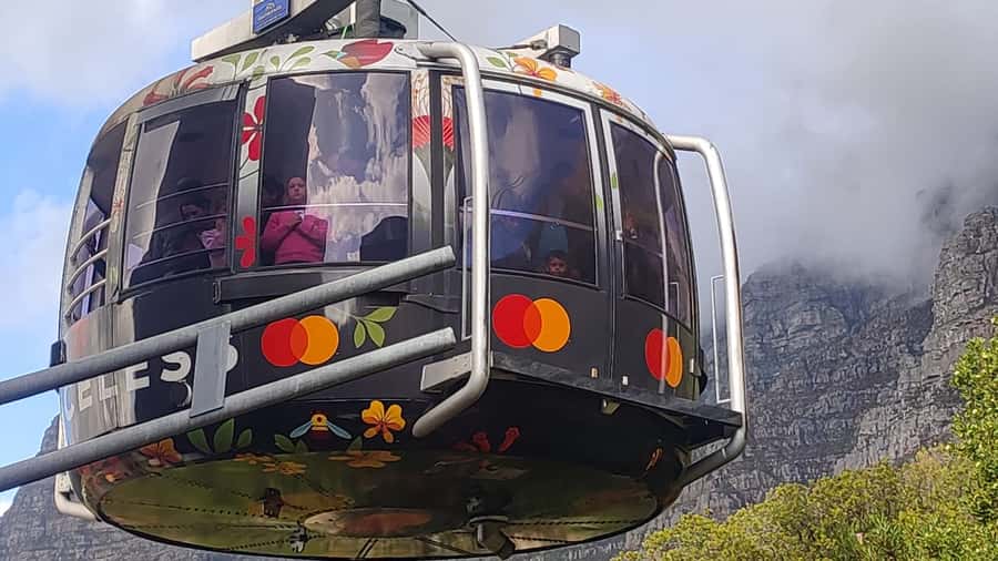 Robben Island,Table Mountain Full day Private Tour Cape Town - Key points to know before booking