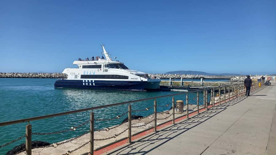 Robben Island,Table Mountain Full day Private Tour Cape Town - Why Robben Island deserves the first half of your day