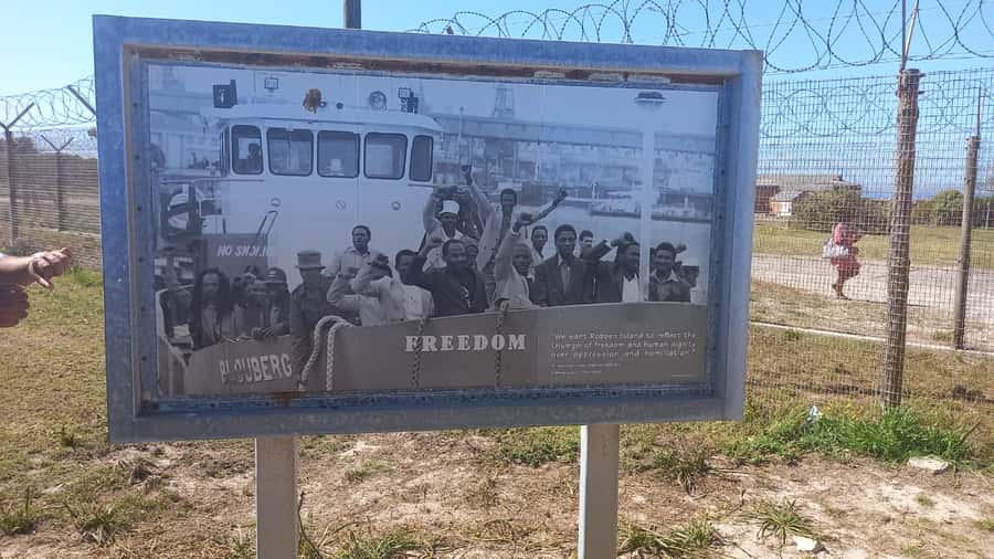 Robben Island,Table Mountain Full day Private Tour Cape Town - Timing, weather, and practical planning