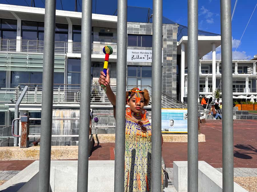 Robben Island Tickets, Penguins, and Private Cape Point Tour - Costs, inclusions, and practical value