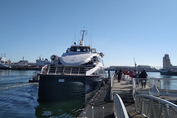 Robben Island Tour including Pick Up & Drop Off from Cape Town - Timing, weather, and the risk of a canceled ferry