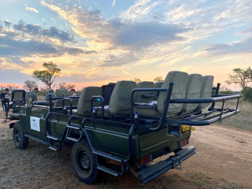 Sabie Game Reserve: Sunset Safari with Sundowners - What the three-hour safari is like