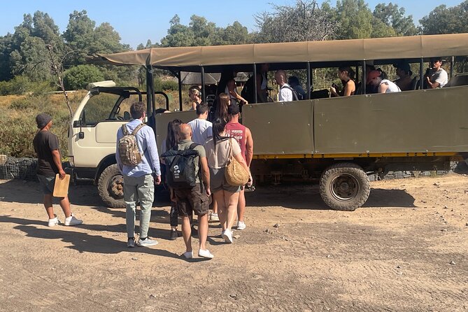 SAFARI Aquila Game Reserve - Round trip + Lunch incl. (Cape Town) - Who should book this outing?