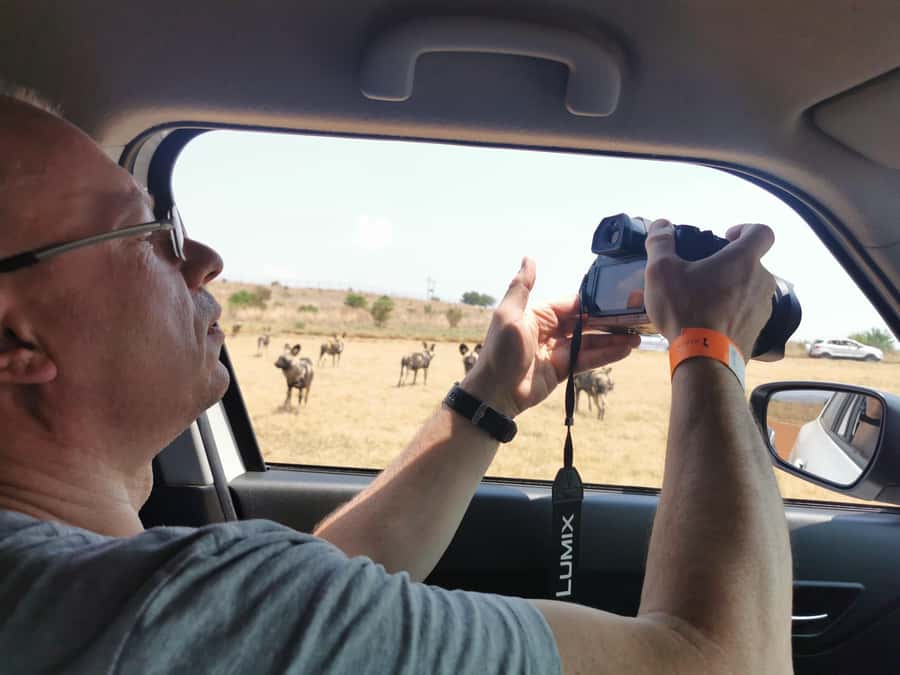 Safari at Lion and Rhino Park / Lesedi Culture Village - Antelope, rhino, zebra, and smaller sightings
