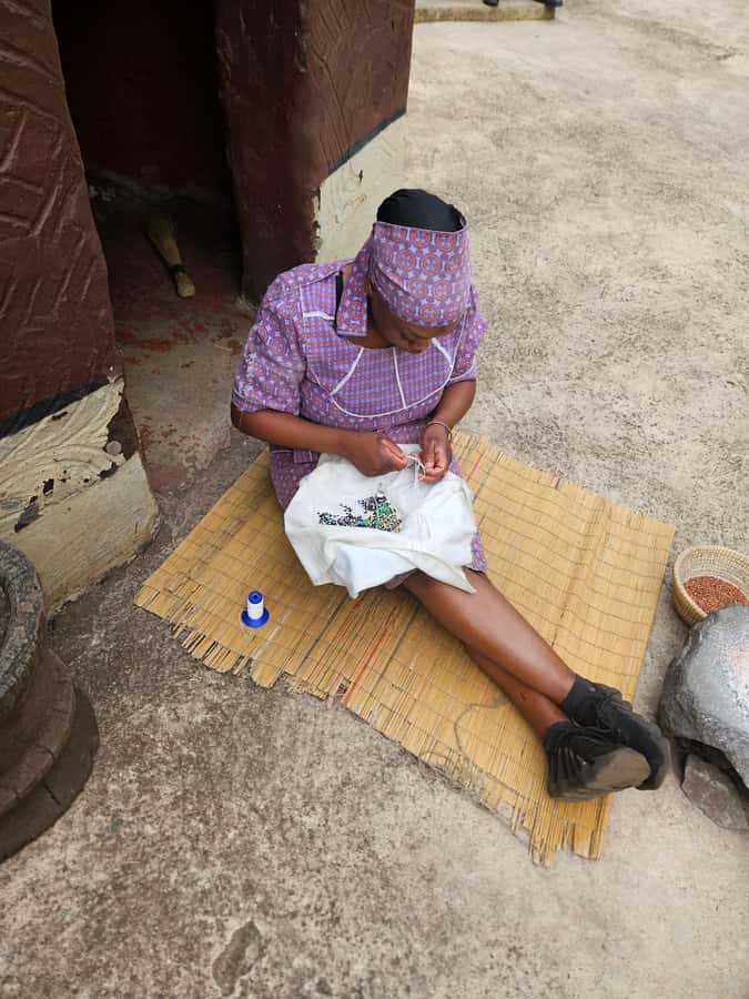 Safari at Lion and Rhino Park / Lesedi Culture Village - Who should book this experience?