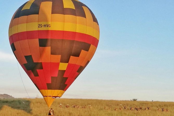 Safari Flight - Key points at a glance