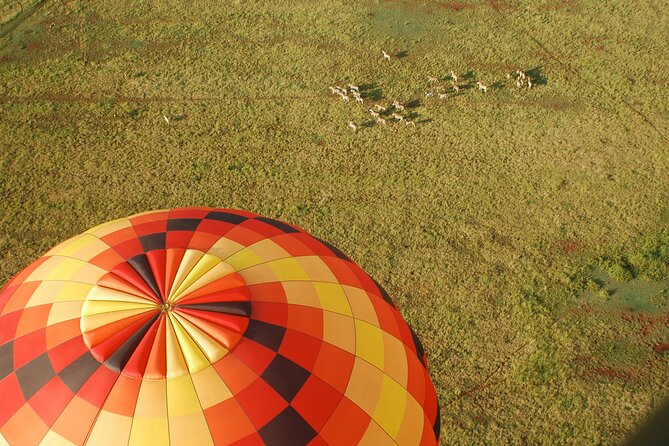 Safari Flight - Why this balloon safari is different from a normal game drive