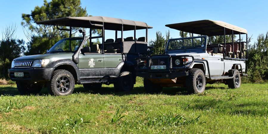 Safari into Schotia Full Day Tour - The braai is more than a midday convenience