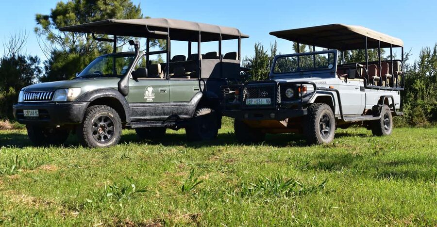 Safari into Schotia Full Day Tour - The price and what it covers