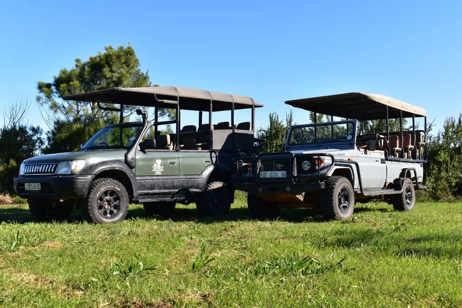 Safari into Schotia Full Day Tour - Setting out in Schotia Private Game Reserve