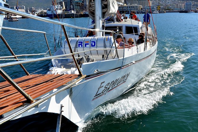 Sailing in The Bay by Catamaran (One Hour) - Wildlife sightings: a welcome extra