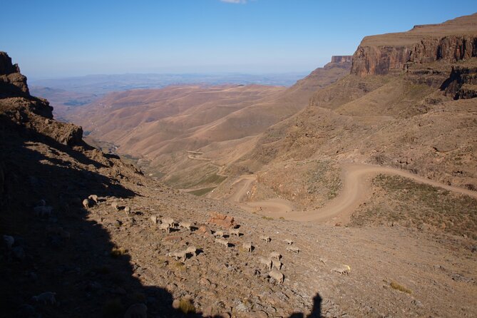 Sani Pass Tour into Lesotho from Underberg and Himeville - What the guides add to the day