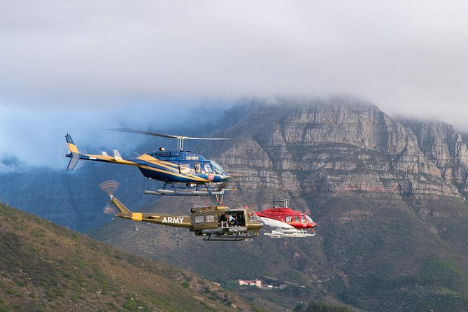Scenic Cape Point Helicopter Tour from Cape Town - Is $518.77 a fair price?