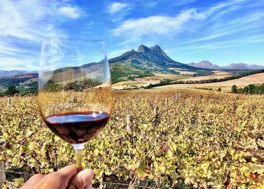 SCHEDULED FRANSCHHOEK WINE TRAM EXPERIENCE (by group size) - Should you book this Franschhoek wine tram day?