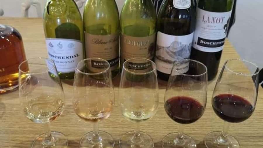 SCHEDULED FRANSCHHOEK WINE TRAM EXPERIENCE (by group size) - Practical comfort and mobility considerations