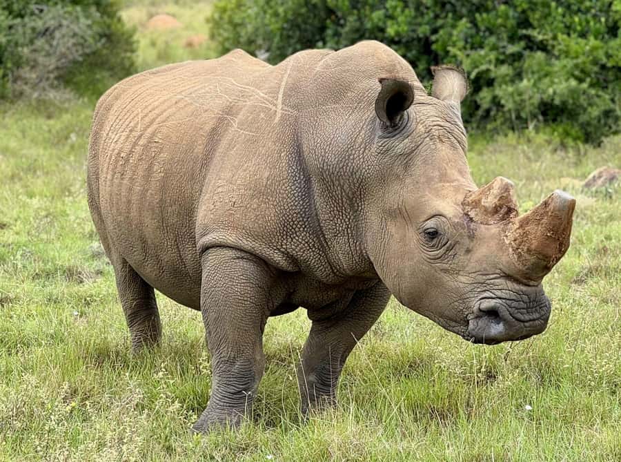 Schotia Private Game Reserve Safari - Who will enjoy this safari most?