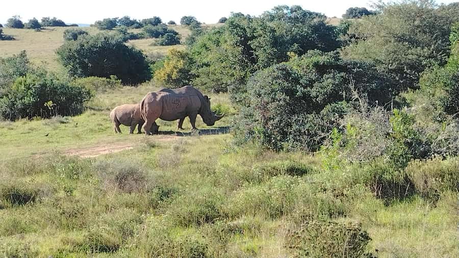 Schotia Private Game Reserve Safari - What to bring for five hours outside