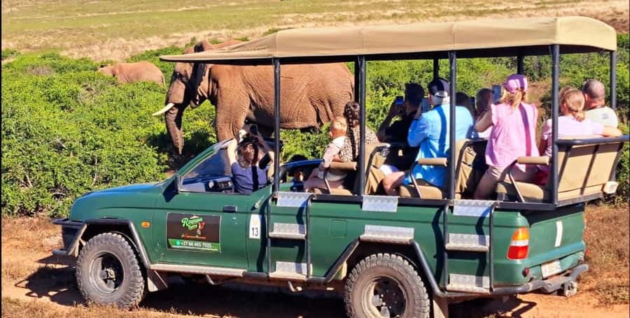 Schotia Safaris: Best Wildlife Encounters in Port Elizabeth - What the rough roads mean for your comfort