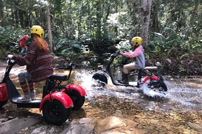 Scooter Tours through Tsitsikamma National Park - Following Rowan through the thick forest