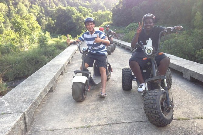 Scooter Tours through Tsitsikamma National Park - Searching for birds and larger wildlife