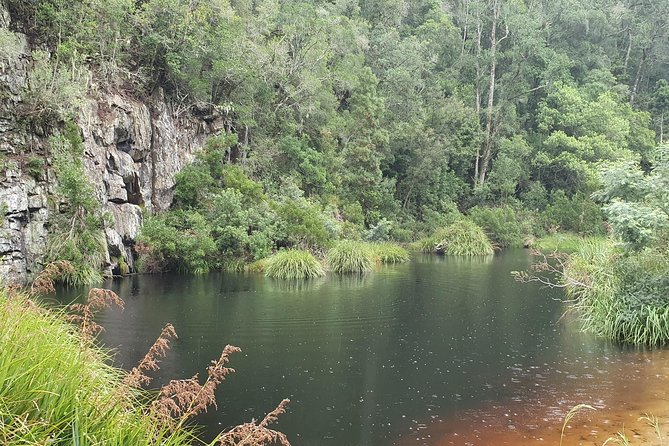 Scooter Tours through Tsitsikamma National Park - How much time you really get