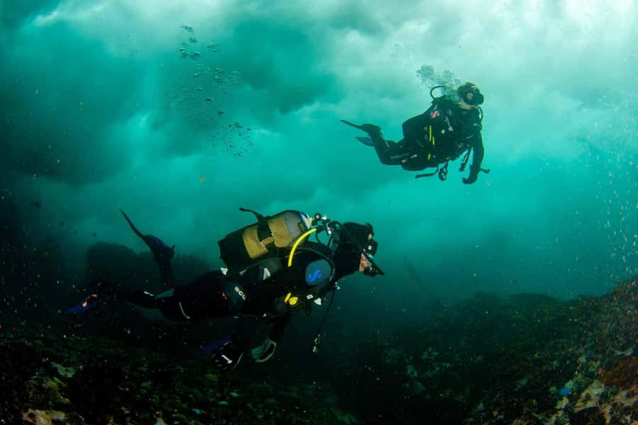 Scuba Dive in Cape Town: 2 Dives for certified divers - What the guide and crew add to the day