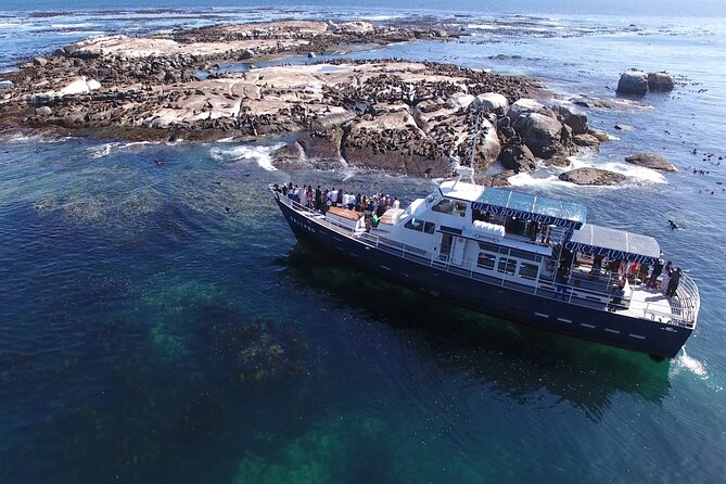 Seal Island,Cape of Good Hope&Penguins Shared Tour,From Cape Town - The Cape of Good Hope sign and the real geography