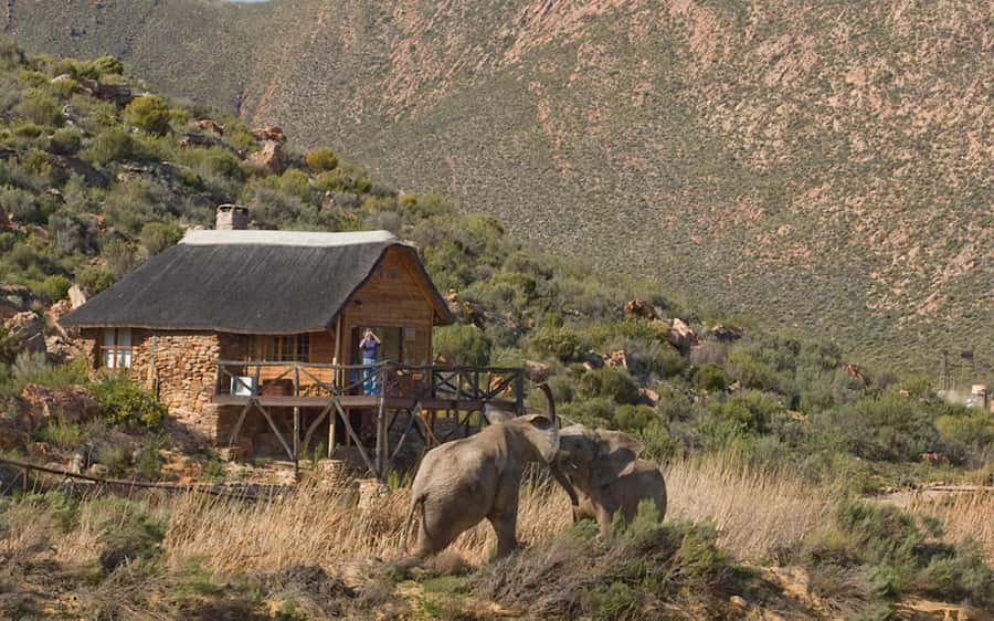 Self drive Aquila Safari Game Reserve Sunset Game Drive - Reaching Aquila from Cape Town