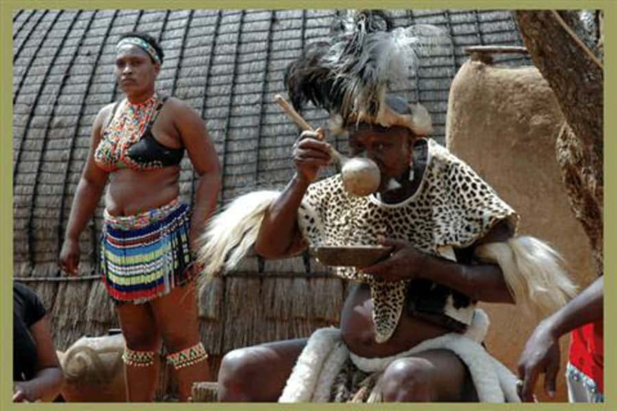 Shakaland and Zulu Culture Full-Day Trip - Traditional doctors and everyday customs