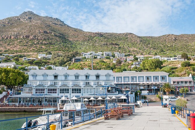 Shared Half Day Tour in Cape Peninsula with African Penguins - What the $40.98 price really covers