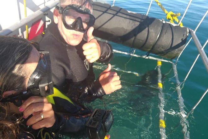 Shark Cage Diving - Meeting Great Whites from a purpose-built catamaran