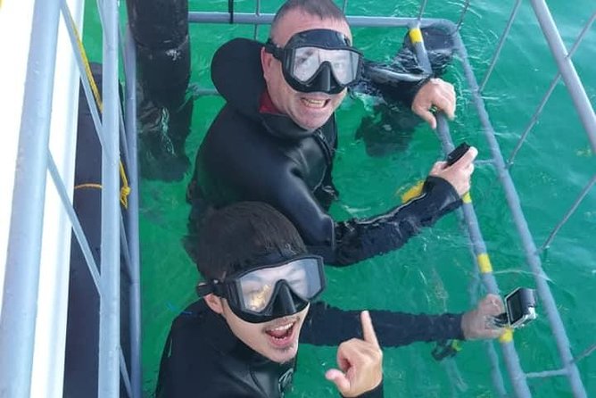 Shark Cage Diving - Why surface viewing deserves your full attention