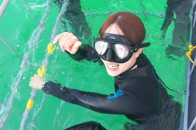 Shark Cage Diving - Who will enjoy this most