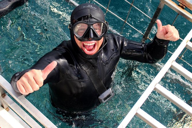 Shark Cage Diving and Viewing with transport from Cape Town - Why the Gansbaai trip is worth the long road