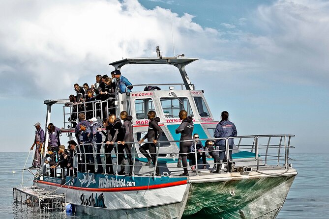 Shark Cage Diving and Viewing with transport from Cape Town - The short boat run toward Dyer Island