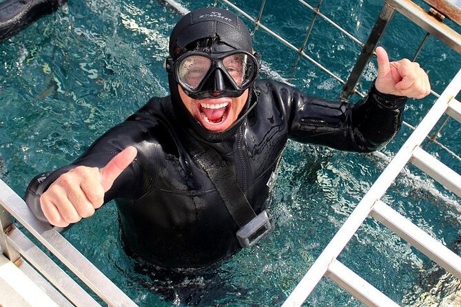 Shark Cage Diving and Viewing with transport from Hermanus - What the $234.50 price includes