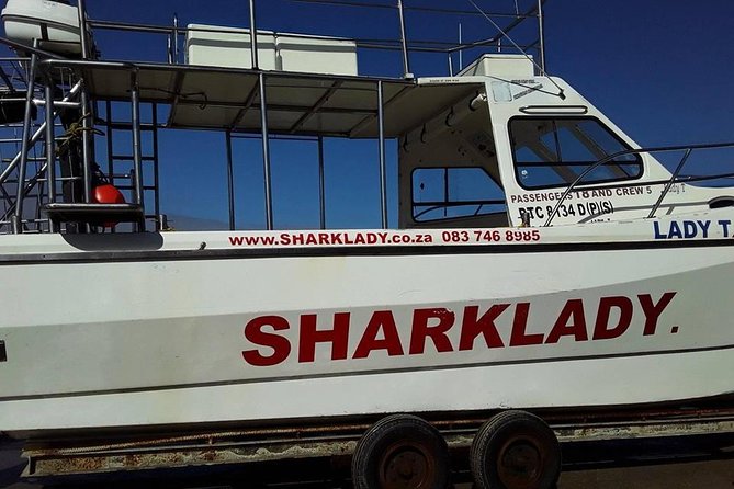 Shark Cage Diving - Why the 12-person limit helps