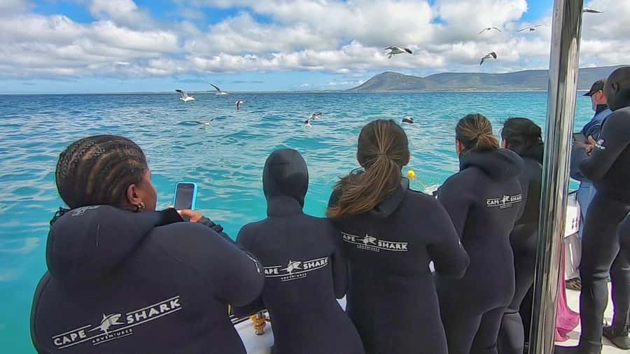 Shark & Whale Trip Combo - Why the post-trip shower and meals matter