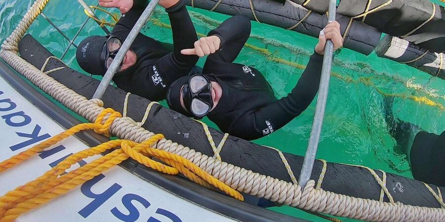 Shark & Whale Trip Combo - A realistic schedule, not a promise