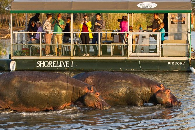 Shoreline Hippo and Crocodile Boat Cruises, iSimangaliso Wetland Park - Starting at Siyabonga Tourism Centre