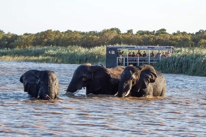 Shoreline Hippo and Crocodile Boat Cruises, iSimangaliso Wetland Park - How the small boat changes the experience