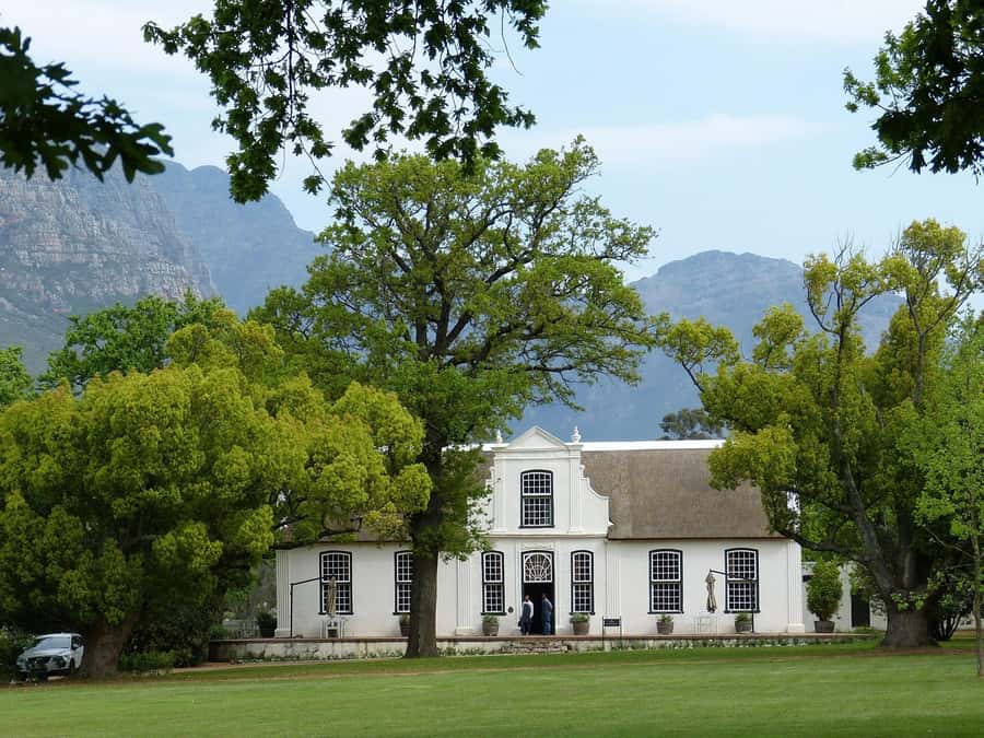 Sip & Savor : A Perfect Half-day Wine Escape to Stellenbosch - Key Points at a Glance