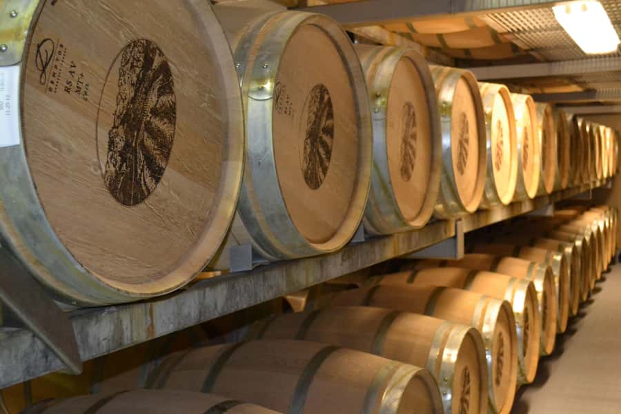 Sip & Savor : A Perfect Half-day Wine Escape to Stellenbosch - Stellenbosch in 45 Minutes
