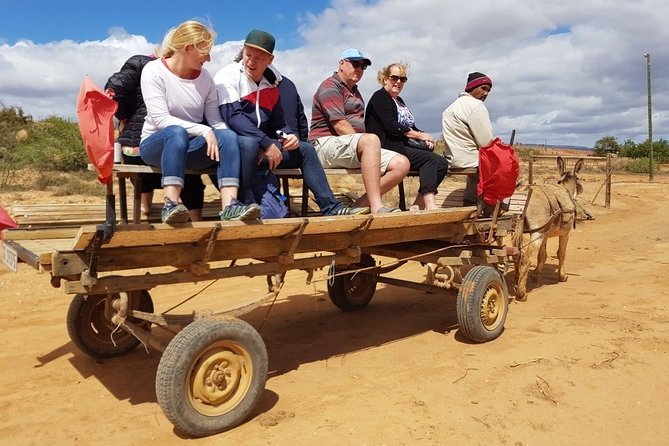 Skip the Line: Highgate Ostrich Farm Tour Ticket - Watch feathers, eggs, and leather become crafts