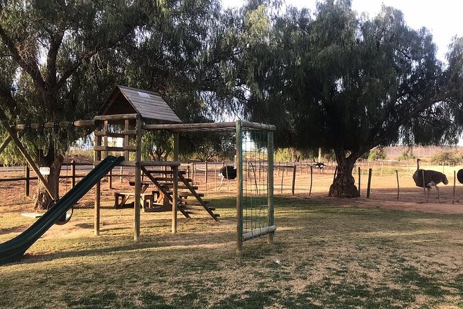 Skip the Line: Highgate Ostrich Farm Tour Ticket - How much value do you get for $11.28?