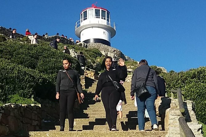 Small Group Cape Of Good Hope Penguins Wine Tasting Inc Park Fees - Hout Bay and Chapman’s Peak bring the best road views