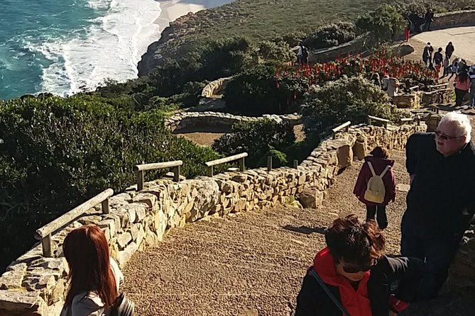 Small Group Cape Of Good Hope Penguins Wine Tasting Inc Park Fees - Constantia wine gives the busy day a softer finish